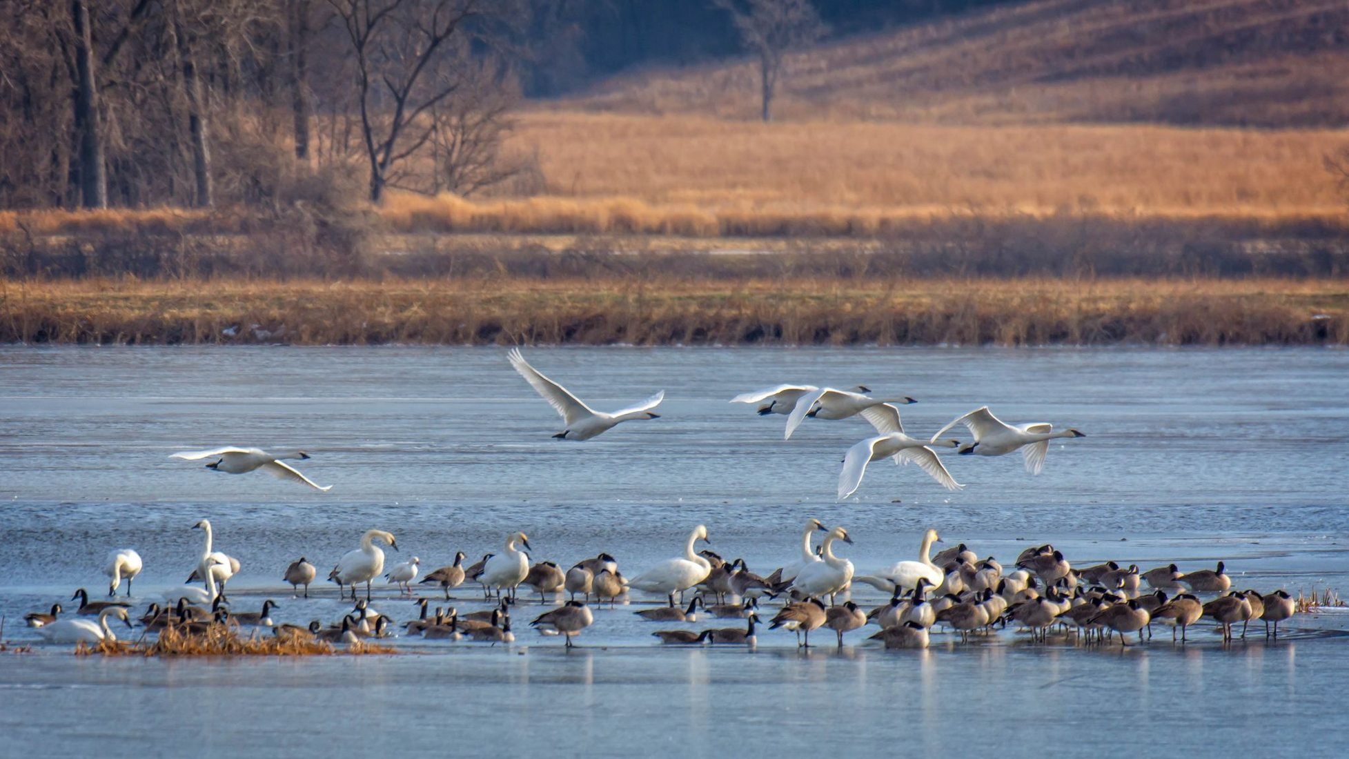 Loess Bluffs National Wildlife Refuge, USA