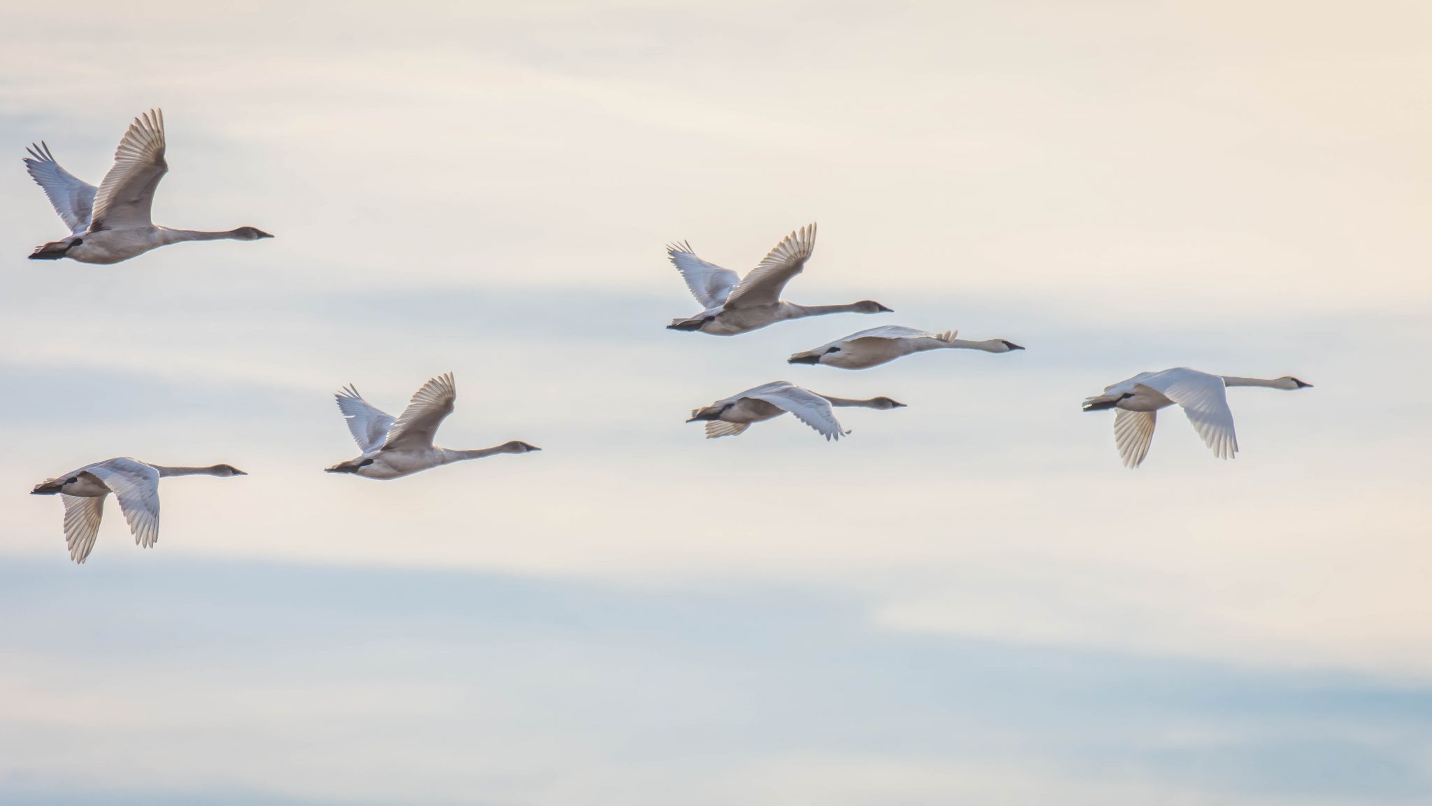Loess Bluffs National Wildlife Refuge, USA