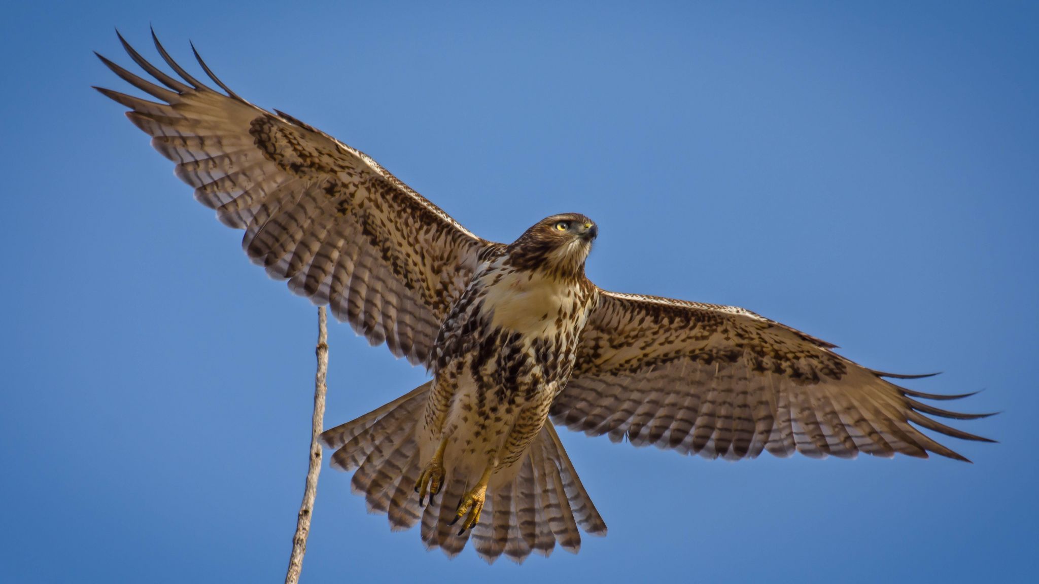Loess Bluffs National Wildlife Refuge, USA