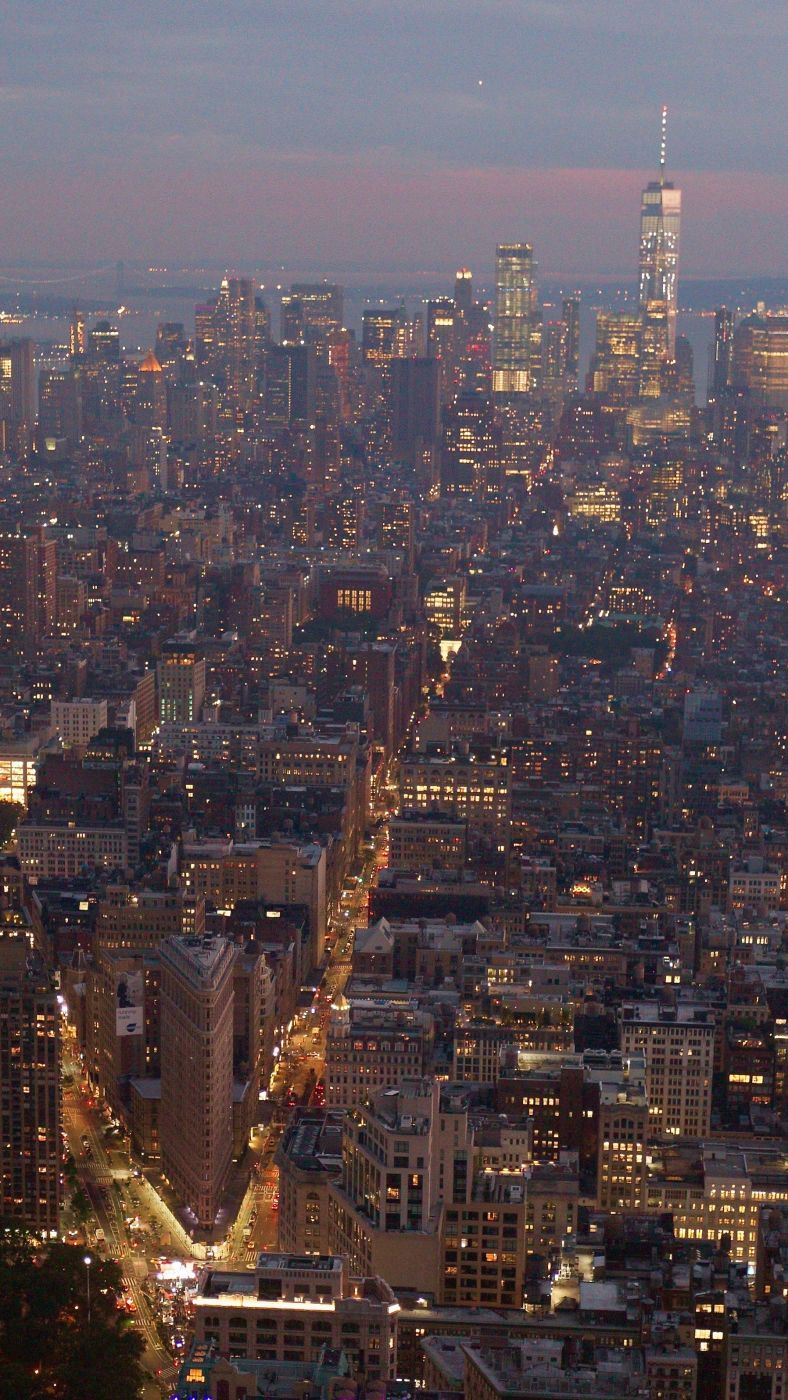 View from Empire State Building, New York City, USA