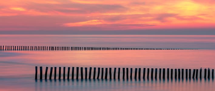 Mussel poles at Blériot-Plage