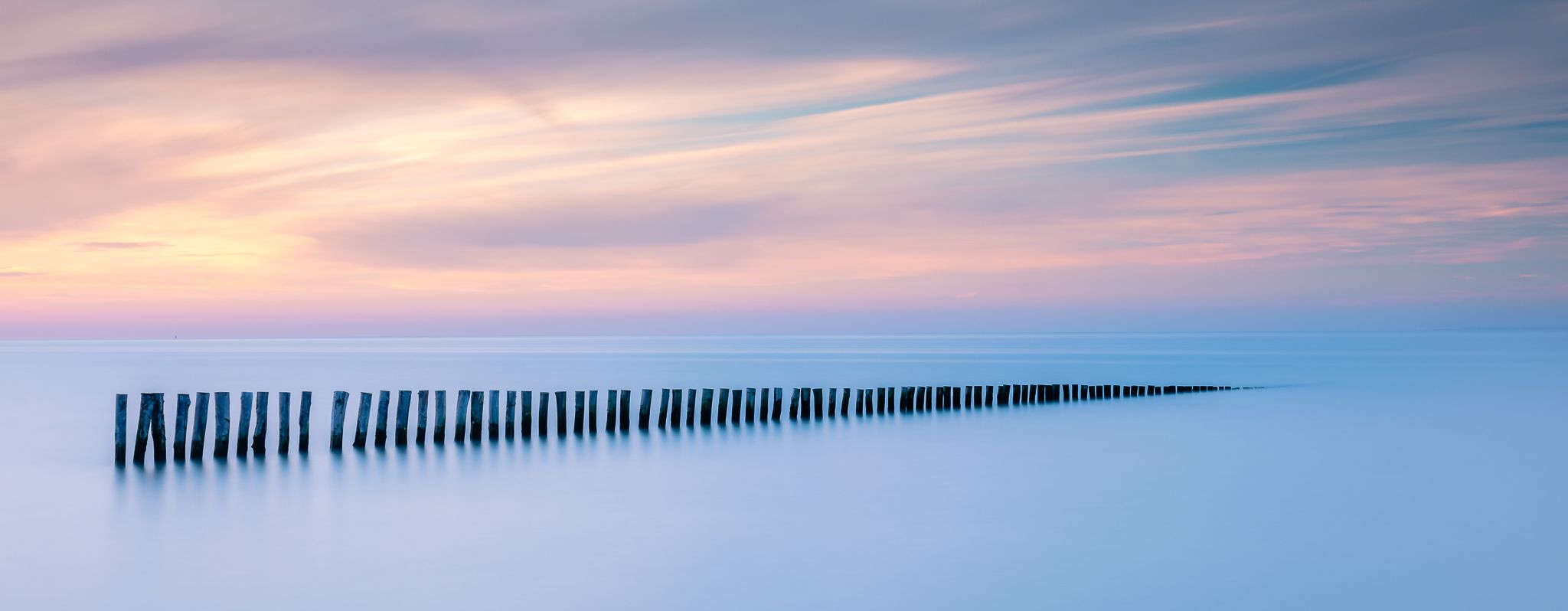 Mussel poles at high tide, France
