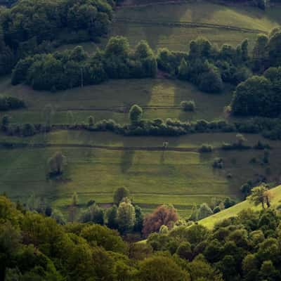 On the hills in Paltin, Romania