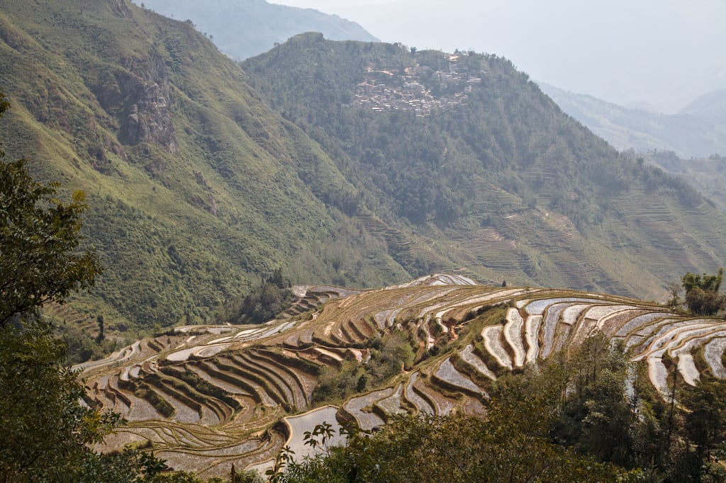 Rice Terraces at Dongpucun, China