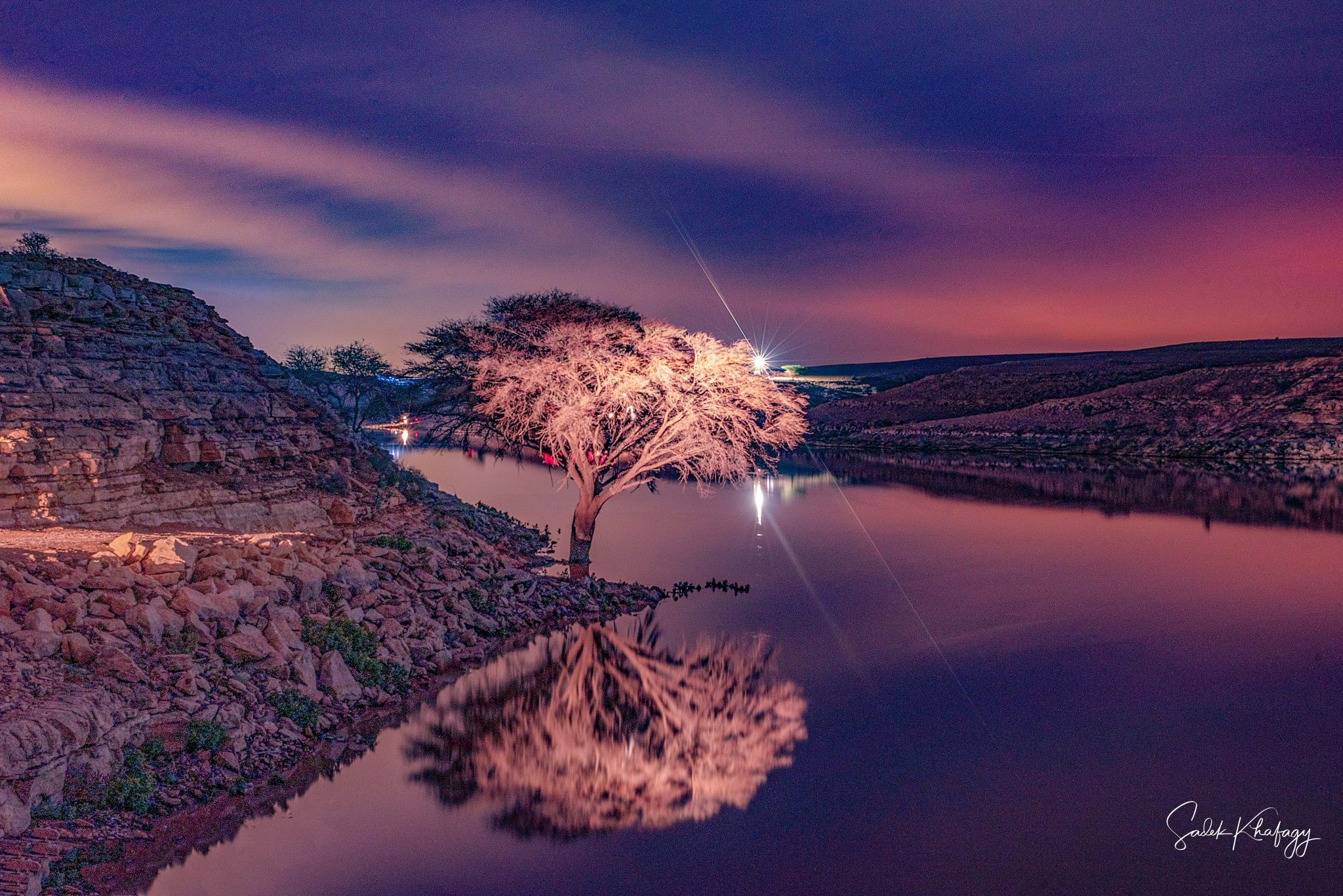 Salboukh Biggest tree, Saudi Arabia