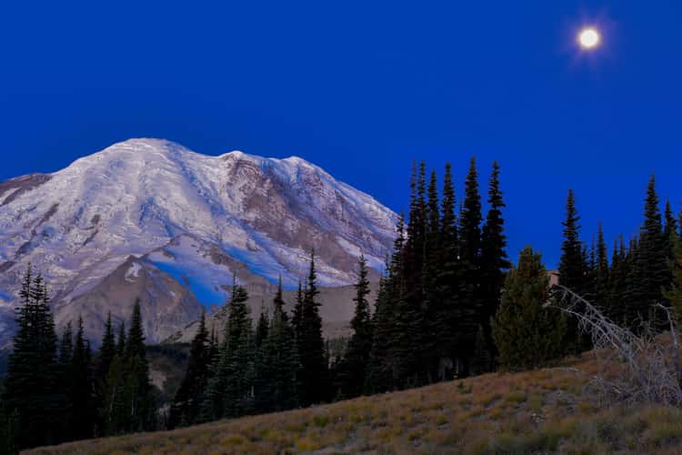 Sourdough Ridge -Mt Rainier National Park