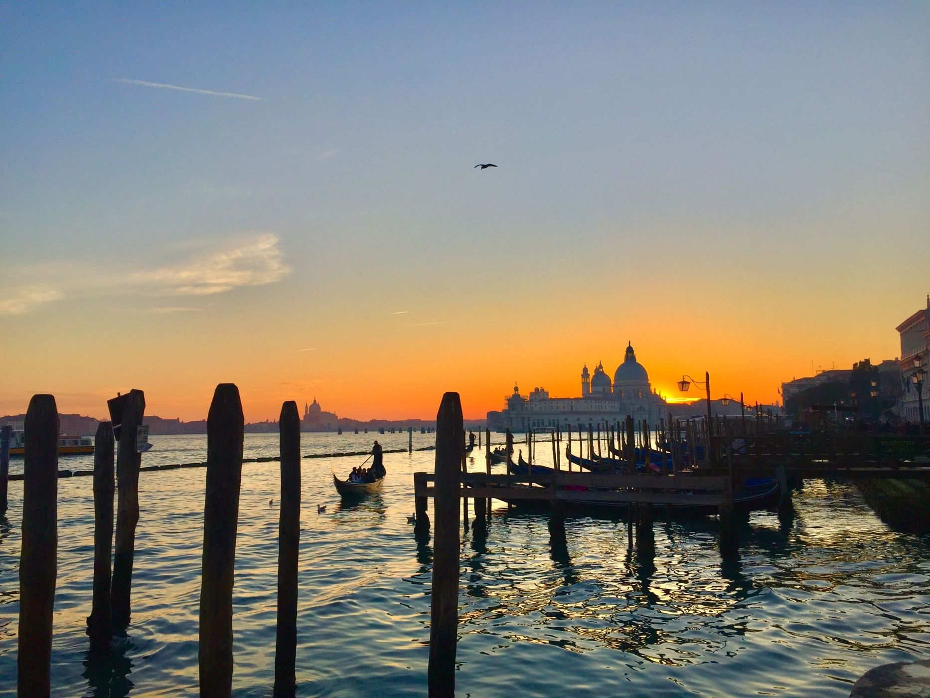 Moving Gondolas at Grand Canal, Venice, Italy