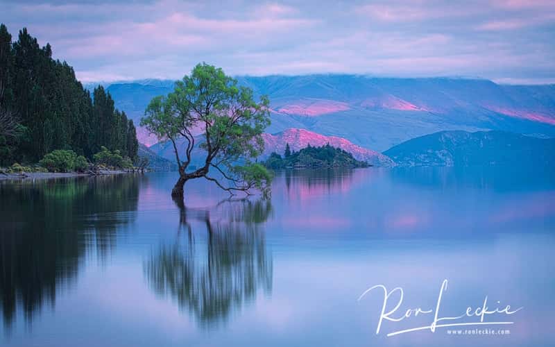 Lake Wanaka - The lonely Tree