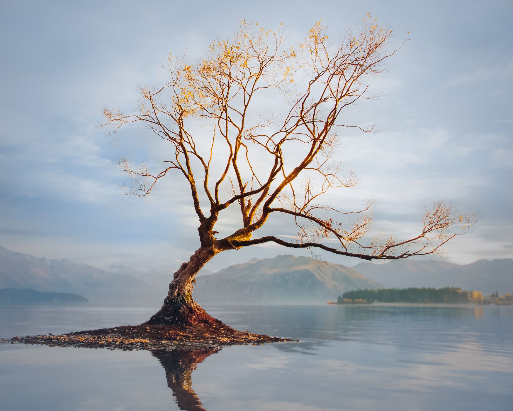 Lake Wanaka - The lonely Tree, New Zealand