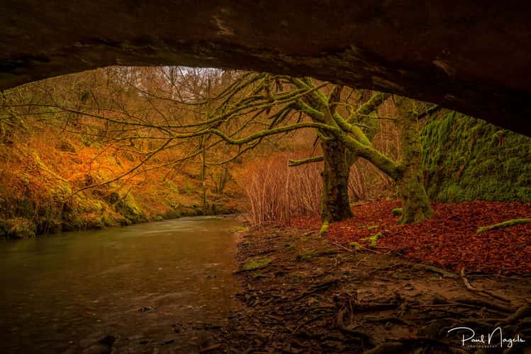 Under the bridge