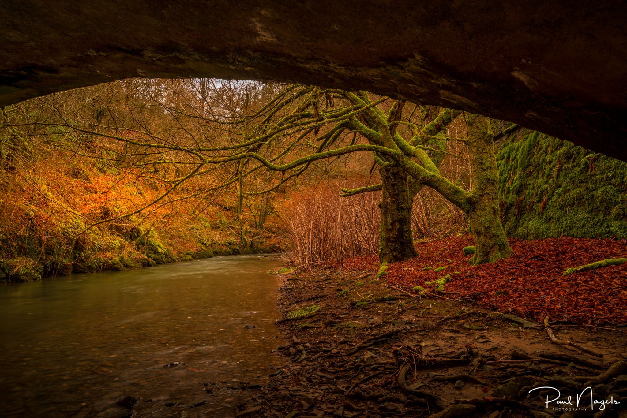 Under the bridge, Germany