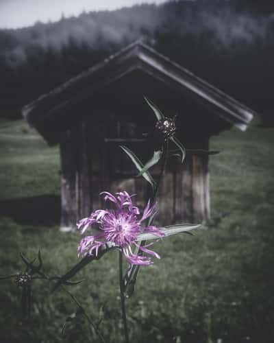 Wooden Hut at lake Geroldsee, Bavaria