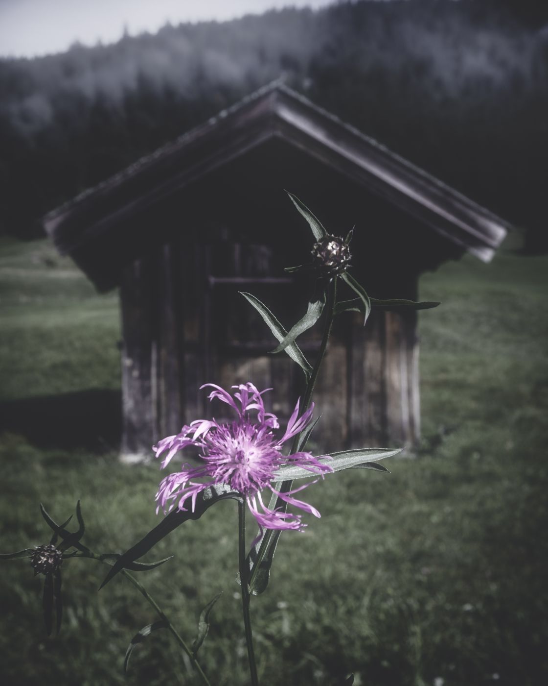 Wooden Hut at lake Geroldsee, Bavaria, Germany
