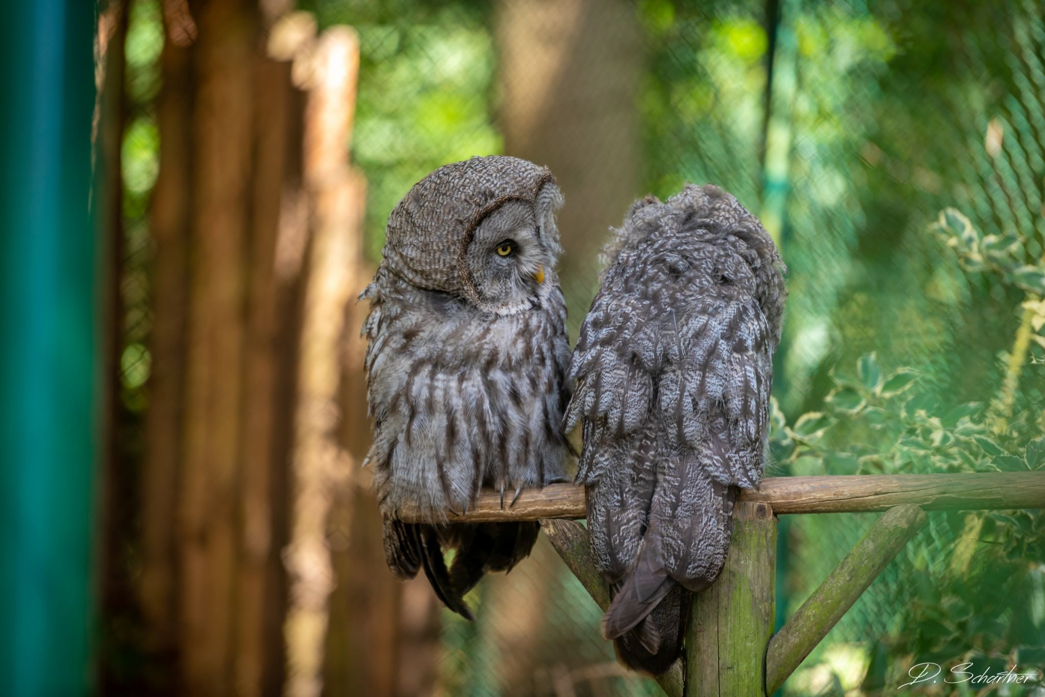 Zoo Neuwied, Germany