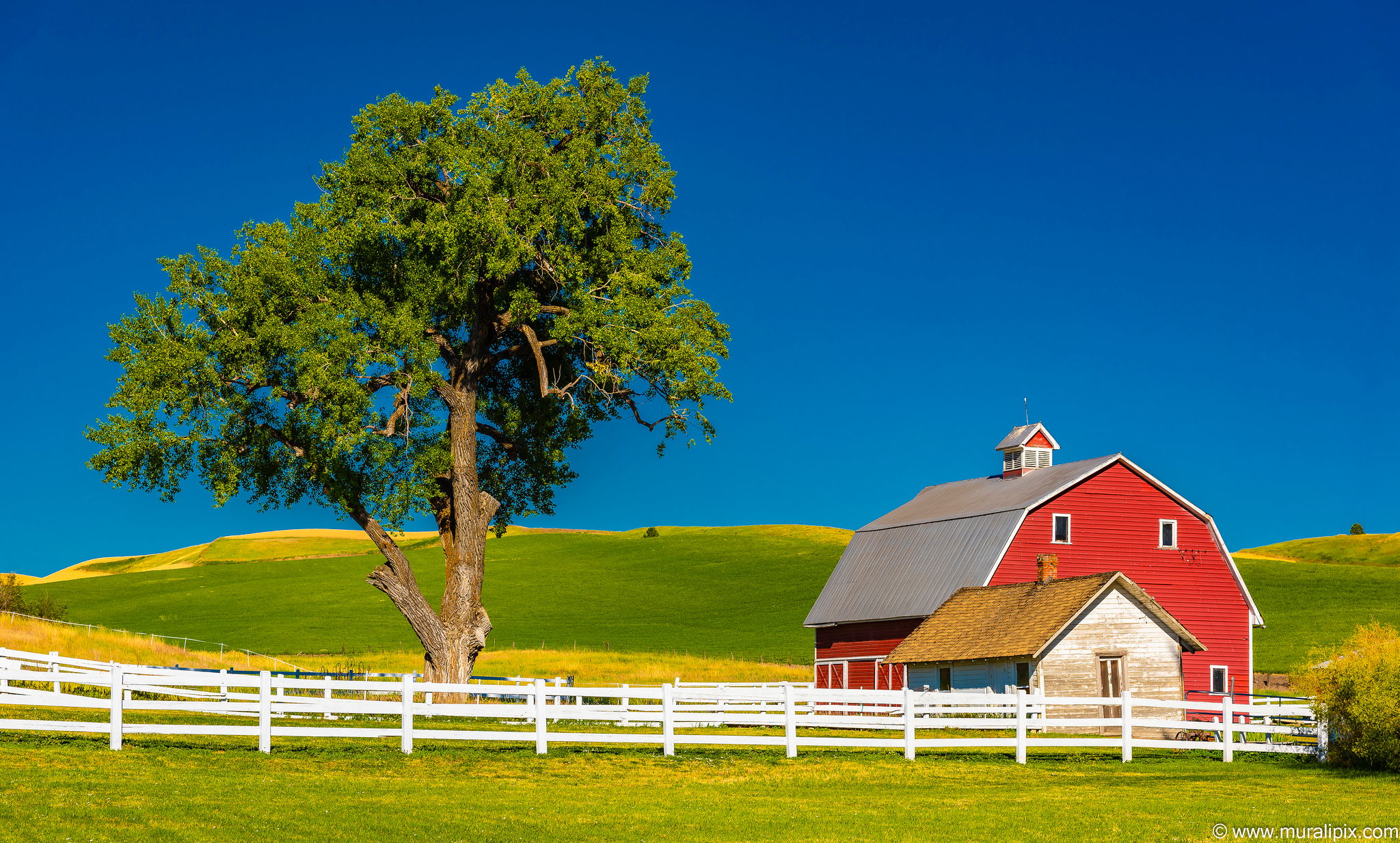 A Palouse Red Barn, USA