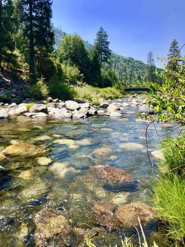 American River