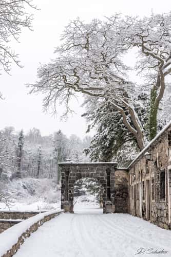 Arround castle arenfels