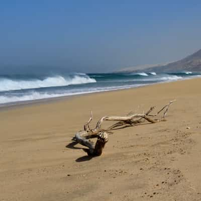 Beach at Cofete, Fuerteventura, Spain