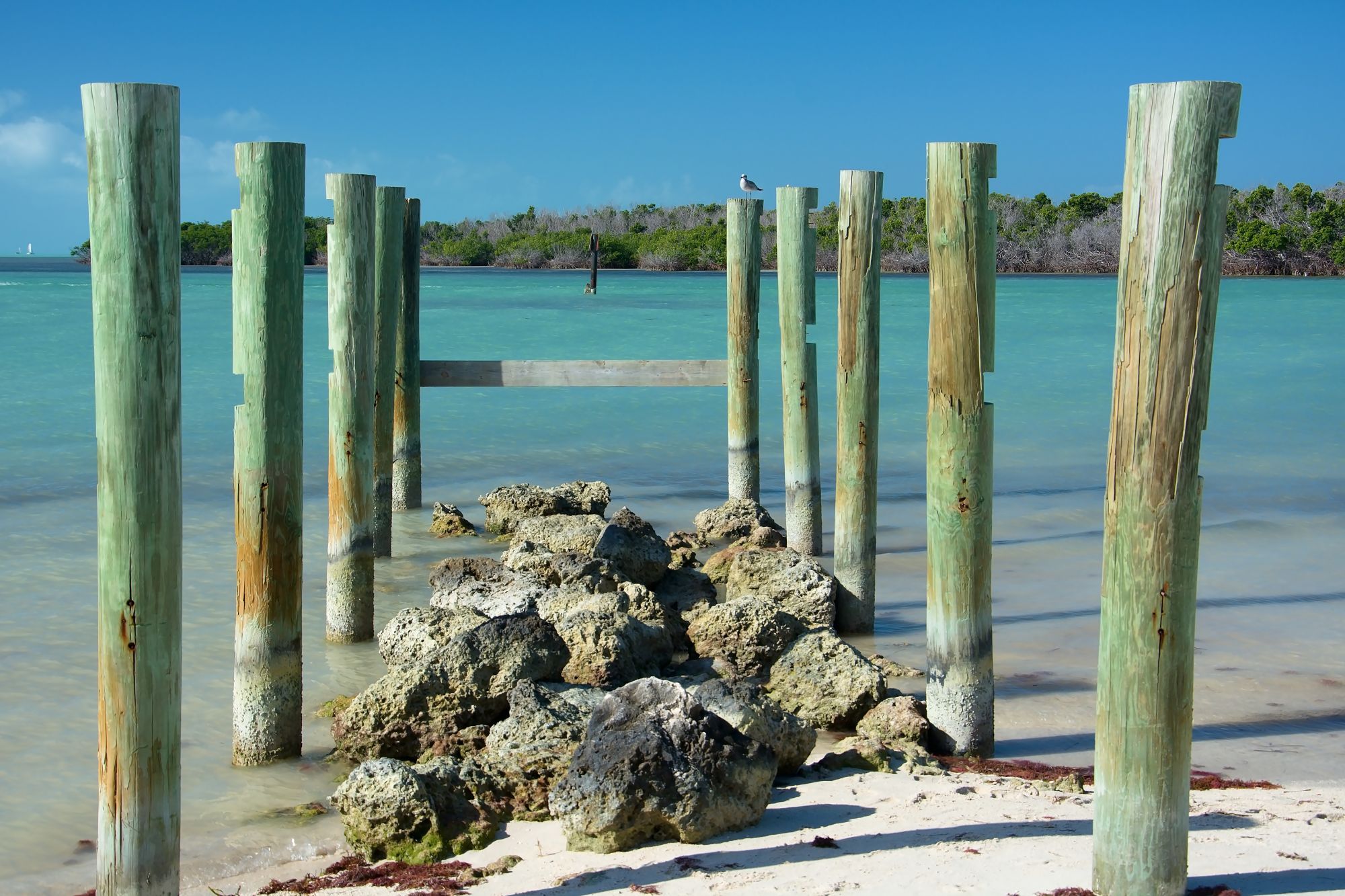 beach at marathon, USA