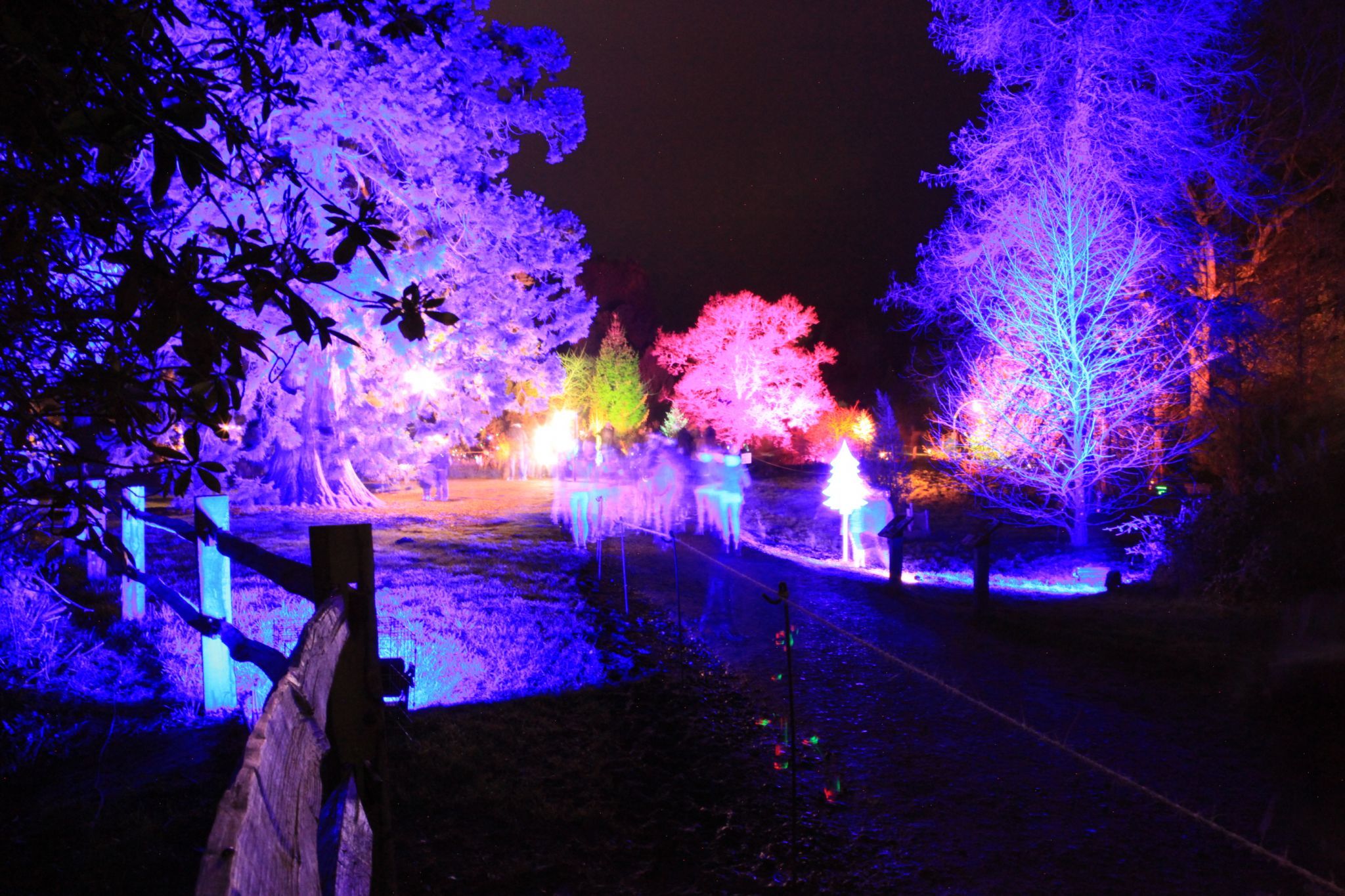 Bedgebury Pinetum / Forest, United Kingdom