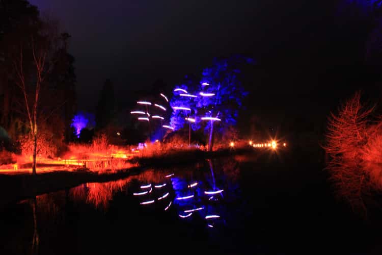 Bedgebury Pinetum / Forest