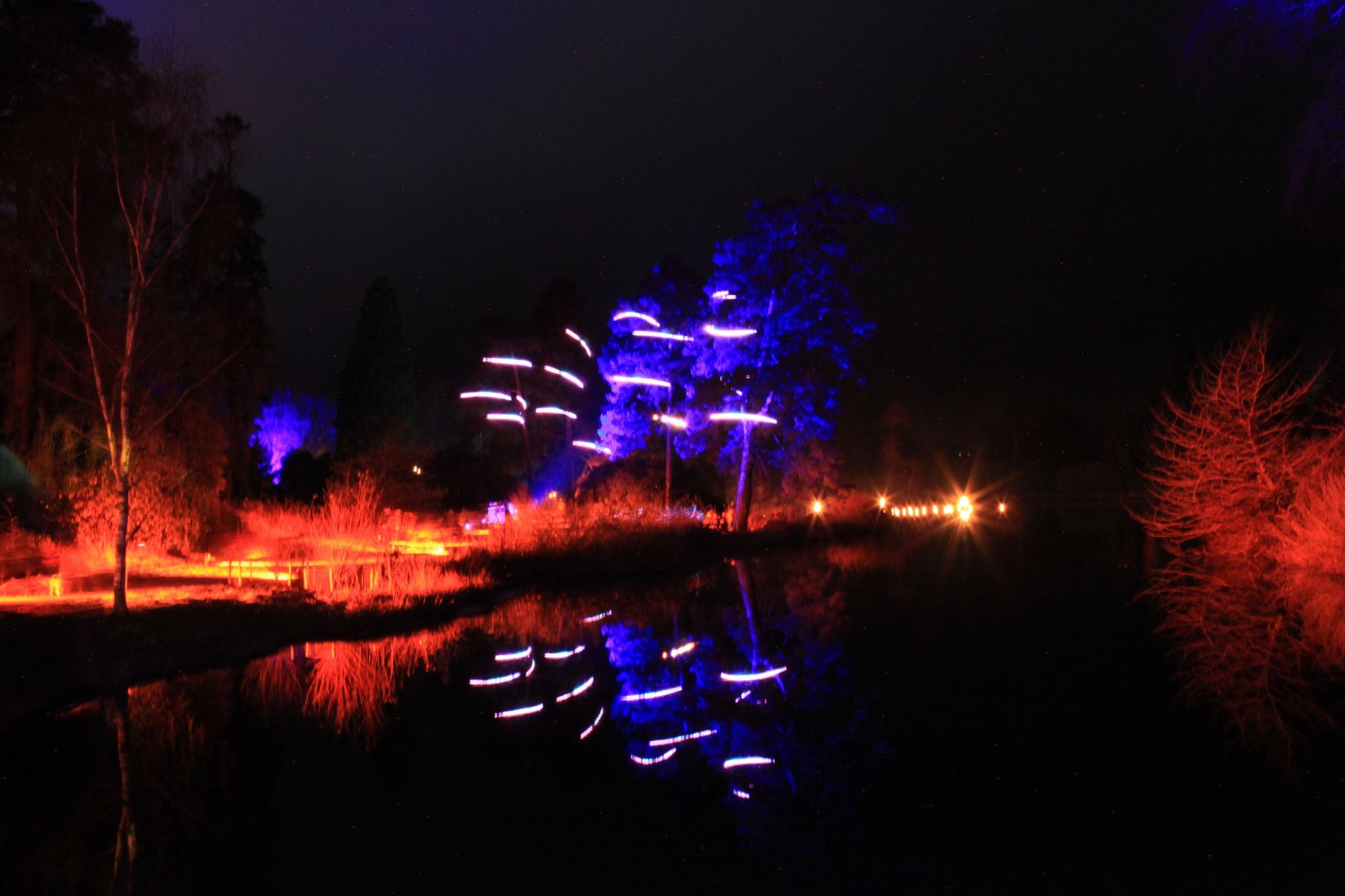Bedgebury Pinetum / Forest, United Kingdom