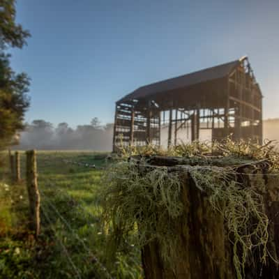 Benandarah old barn spiders web NSW, Australia