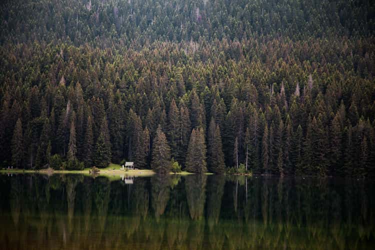 Black Lake, Dumitor National Park
