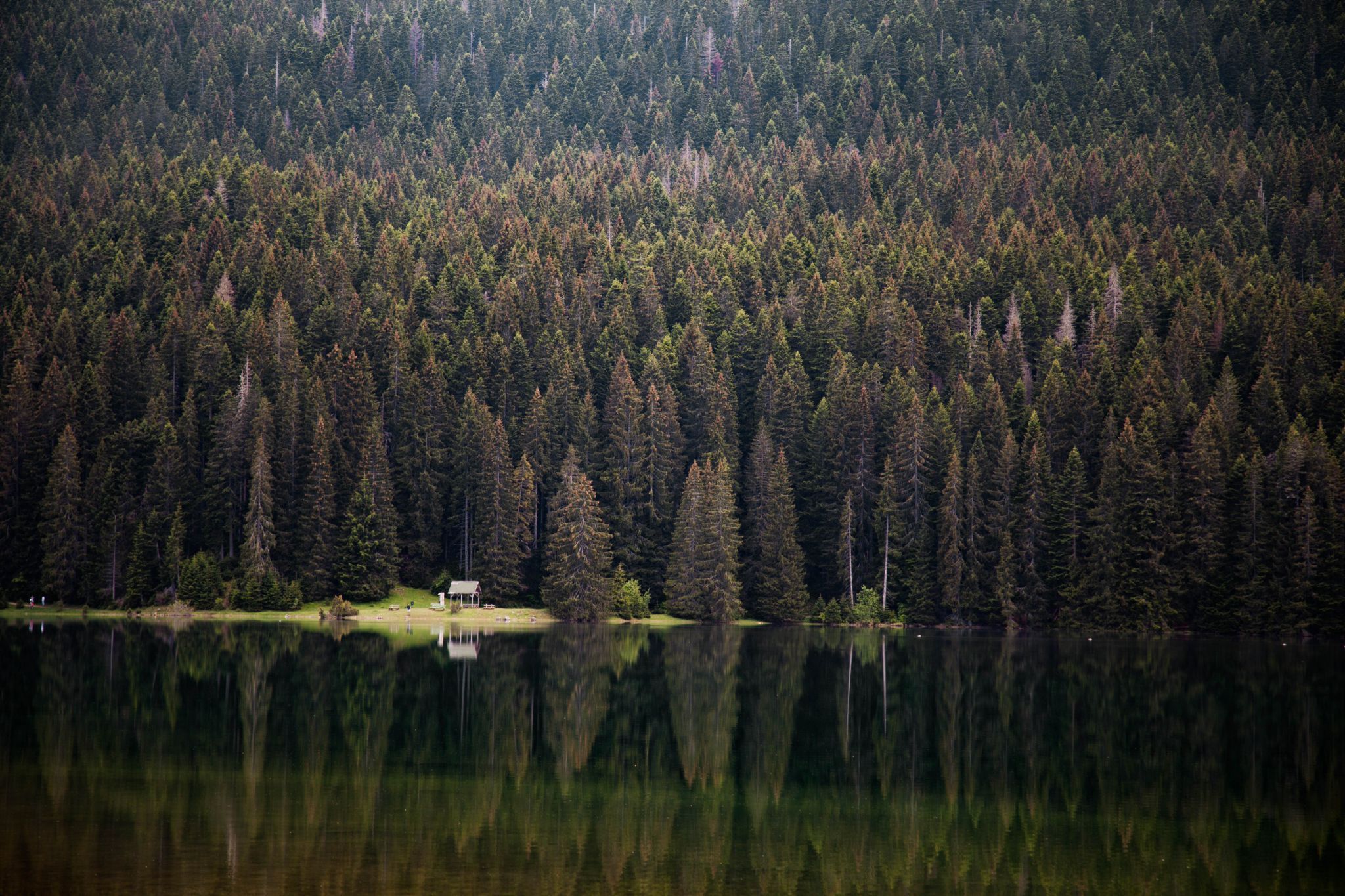 Black Lake, Dumitor National Park, Montenegro