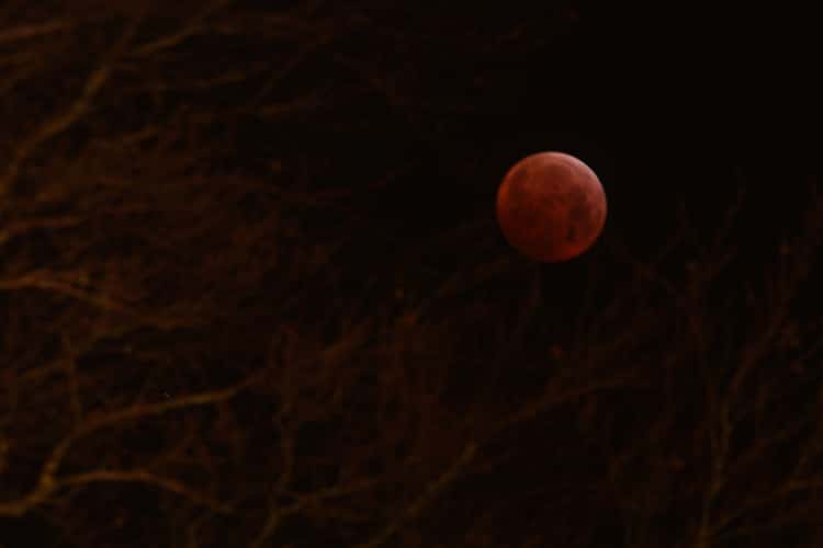 Blood Moon