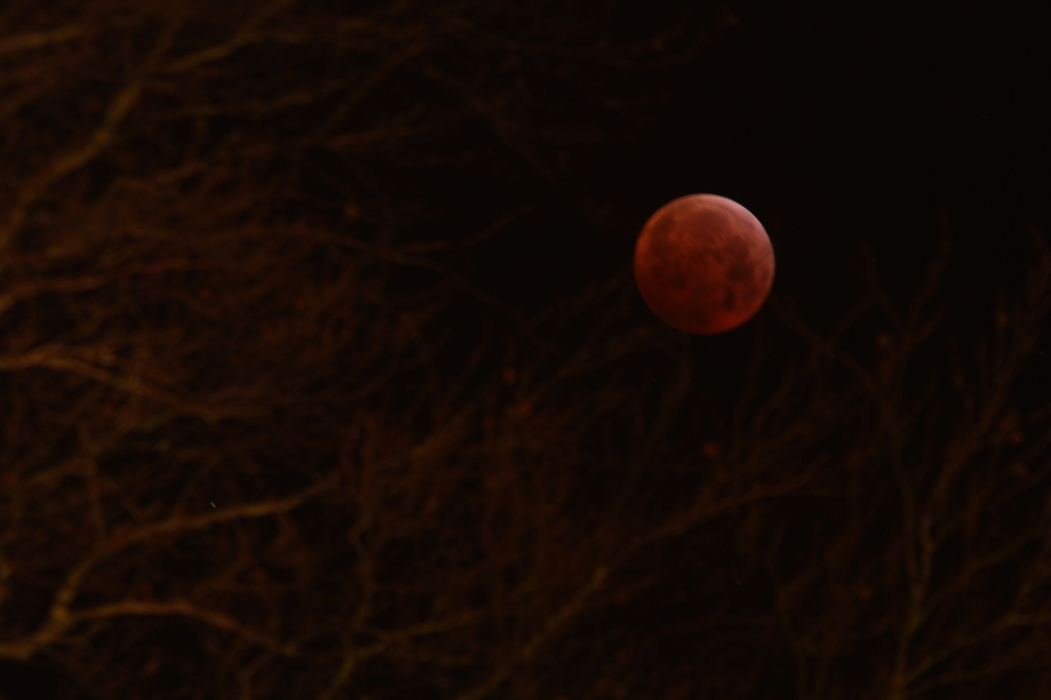 Blood Moon, United Kingdom