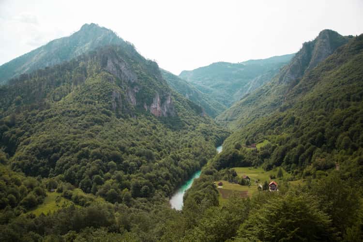 Đurđevića Tara Bridge