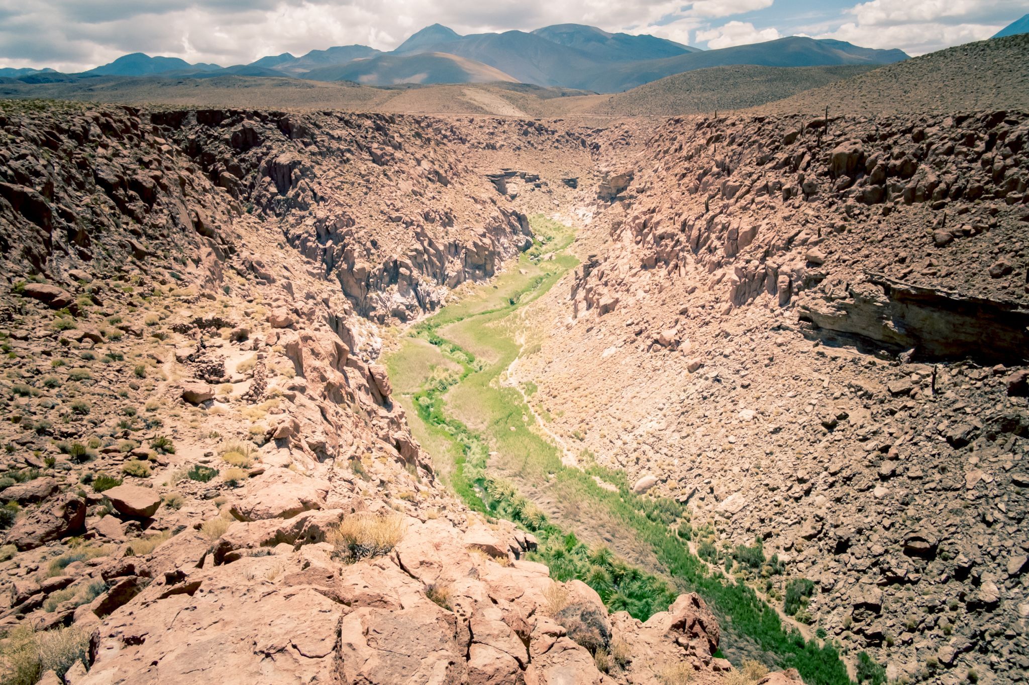 Cañón De Los Cactus, Chile