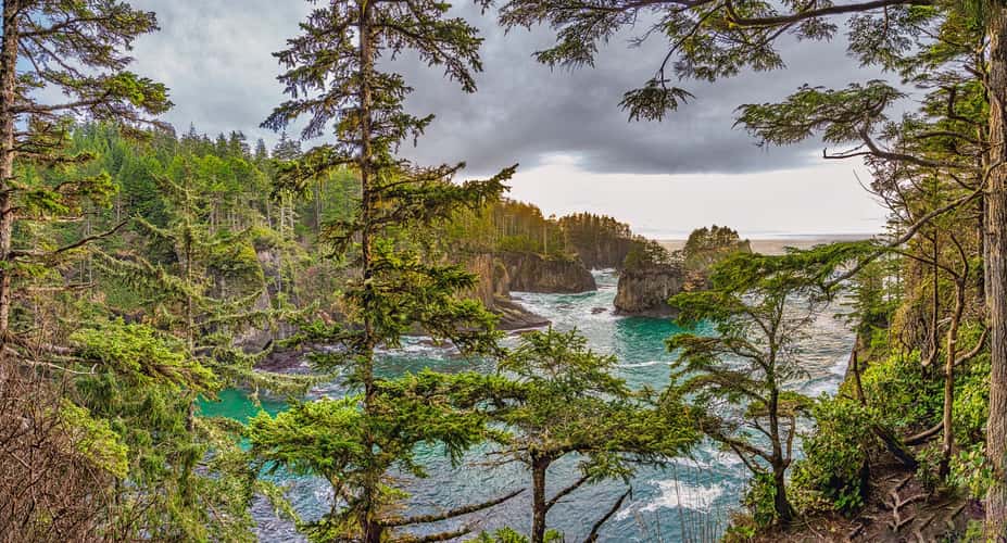 Cape Flattery