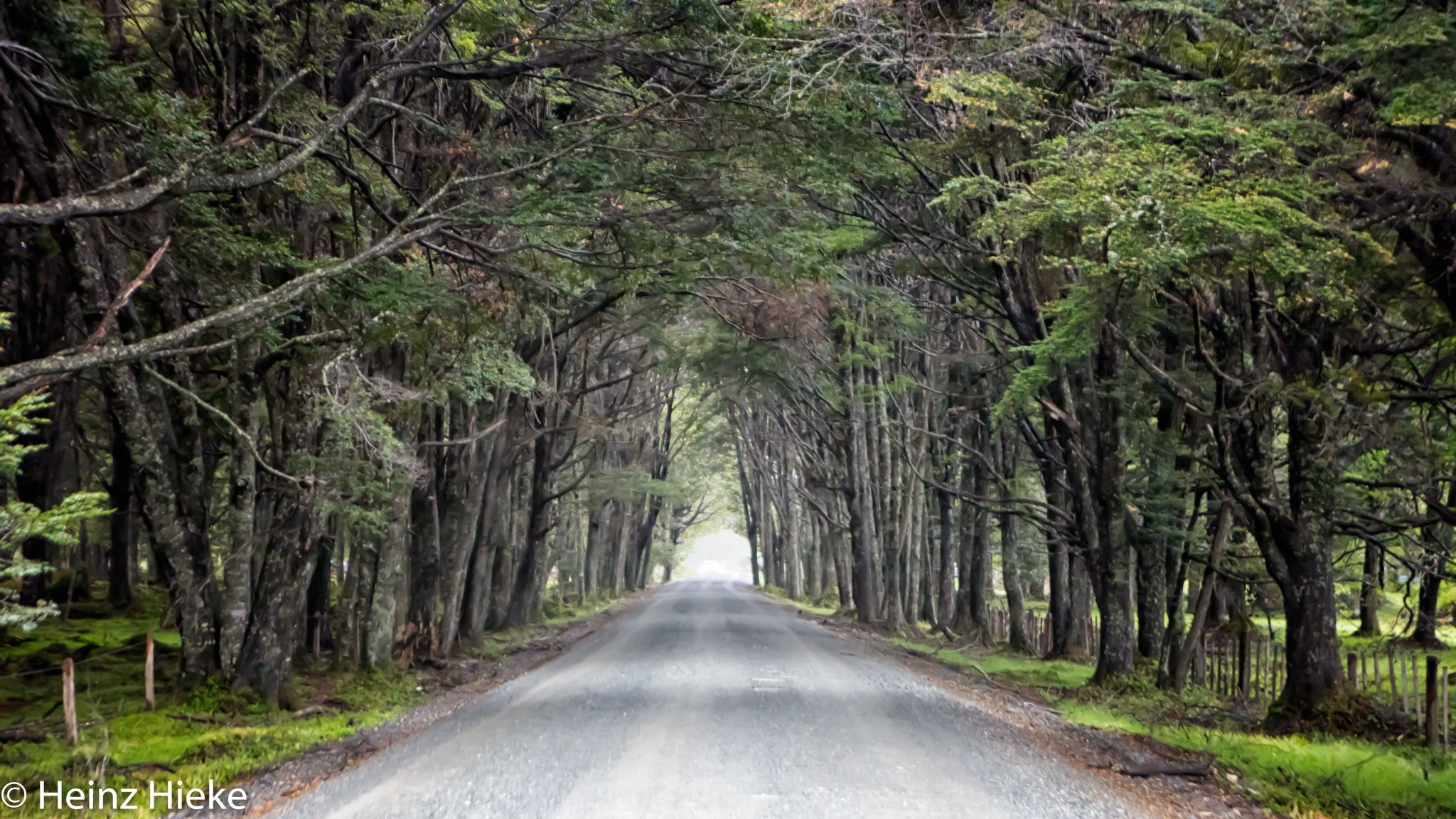 Carr Austral, Chile