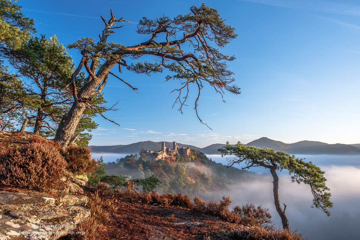 Haferfels, view of Castle Altdahn, Germany