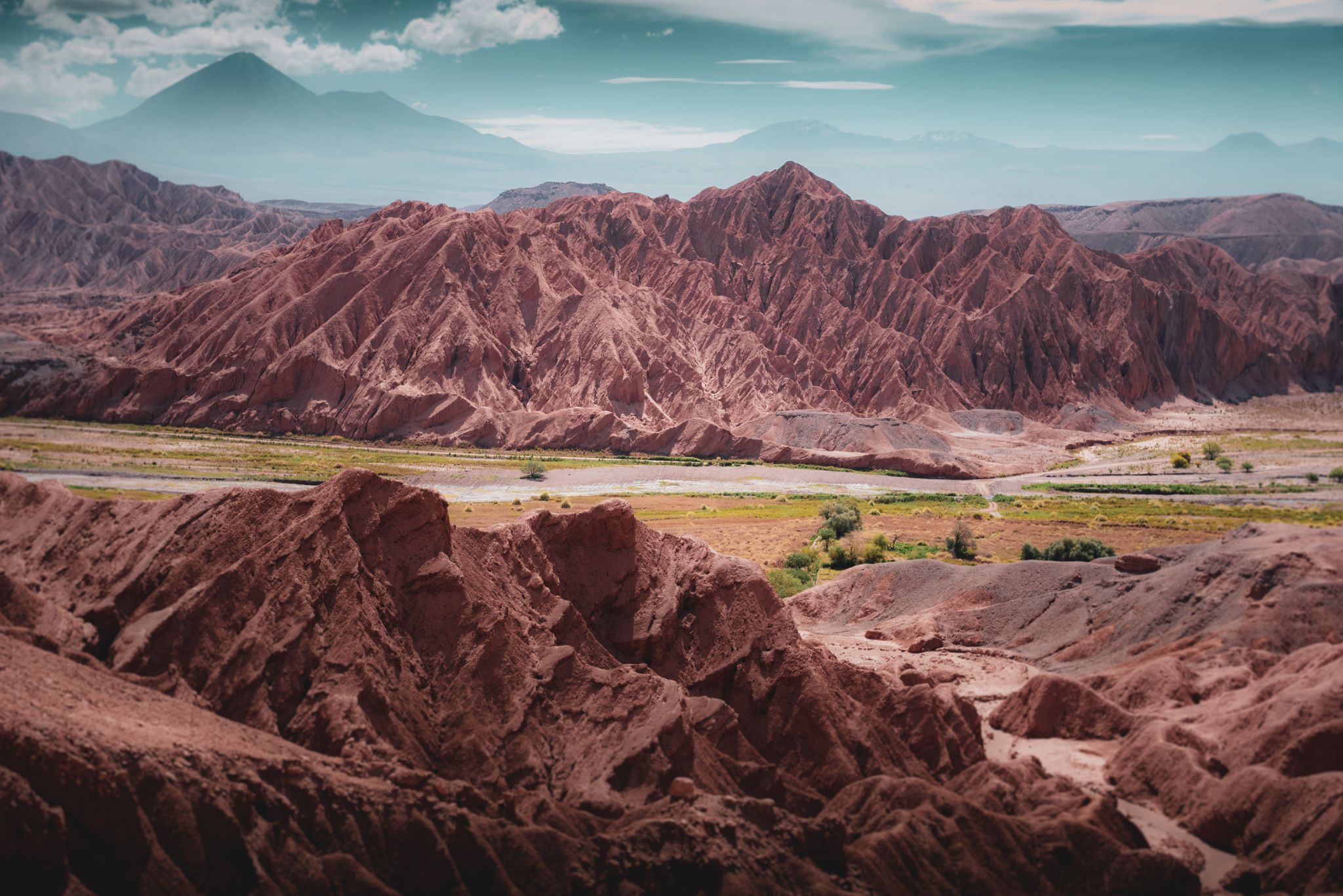 Catarpe Valley, San Pedro Atacama, Chile