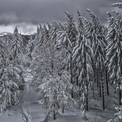 Dambergwarte, Austria