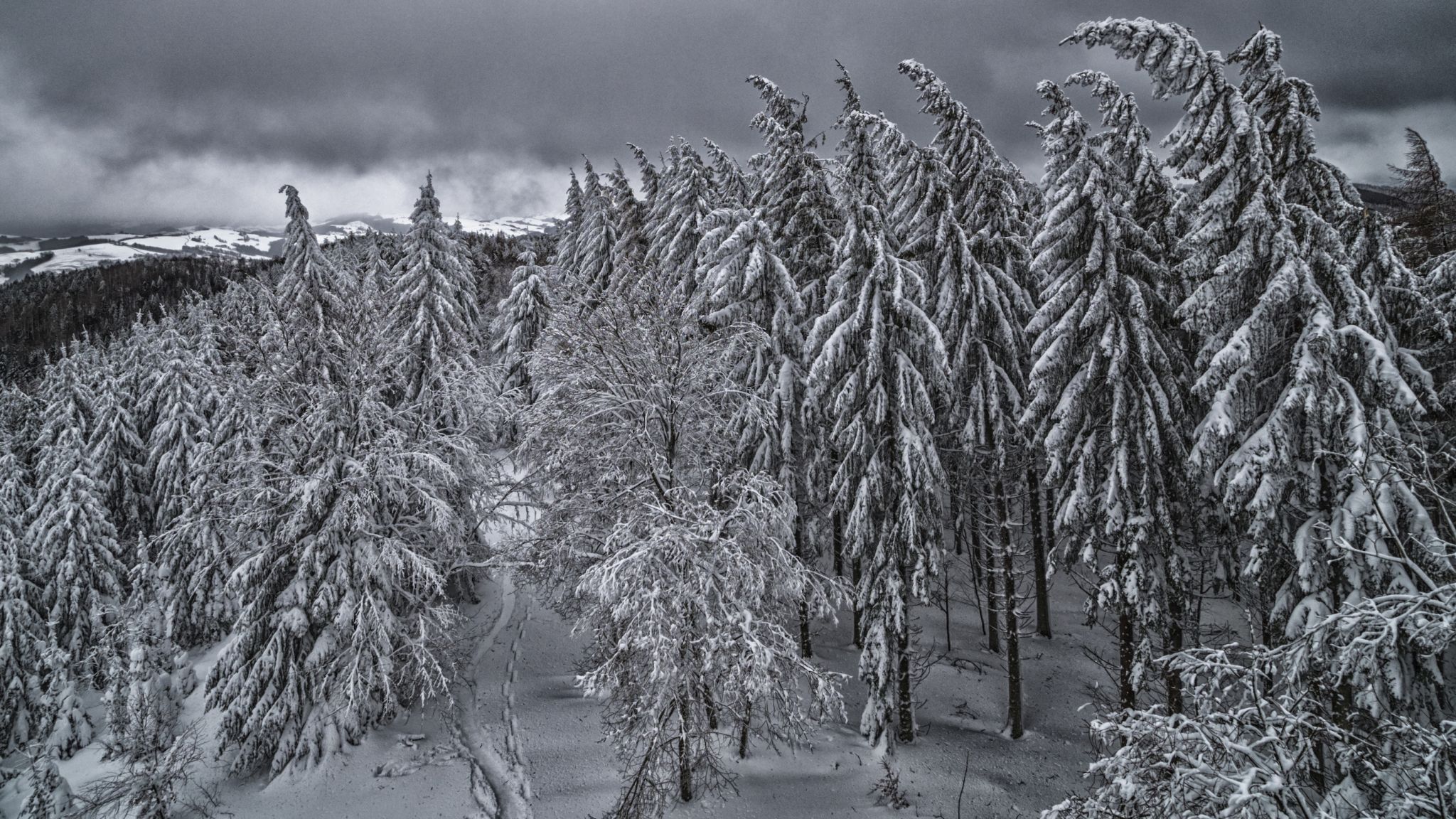 Dambergwarte, Austria