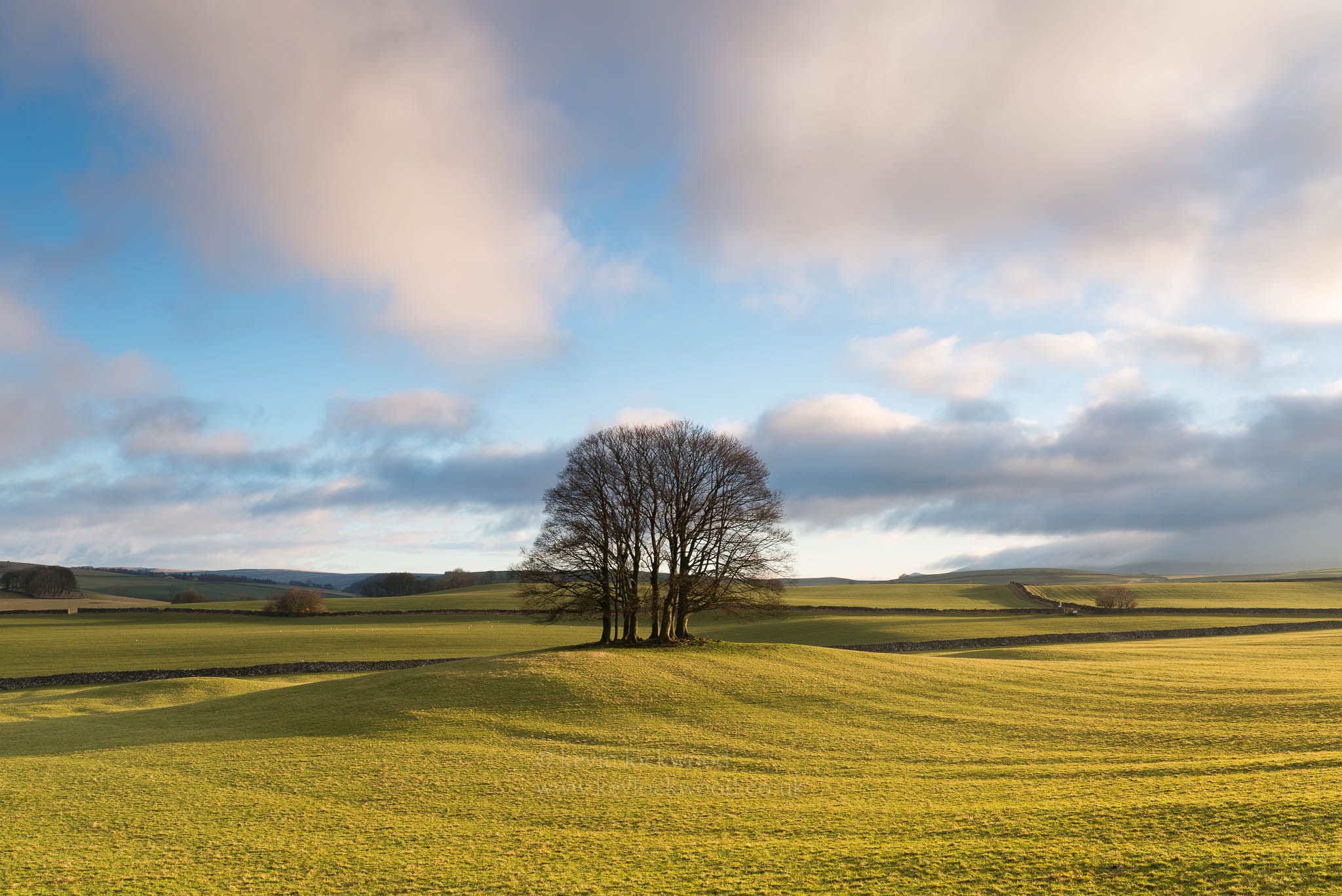 Eshton Coppice, United Kingdom