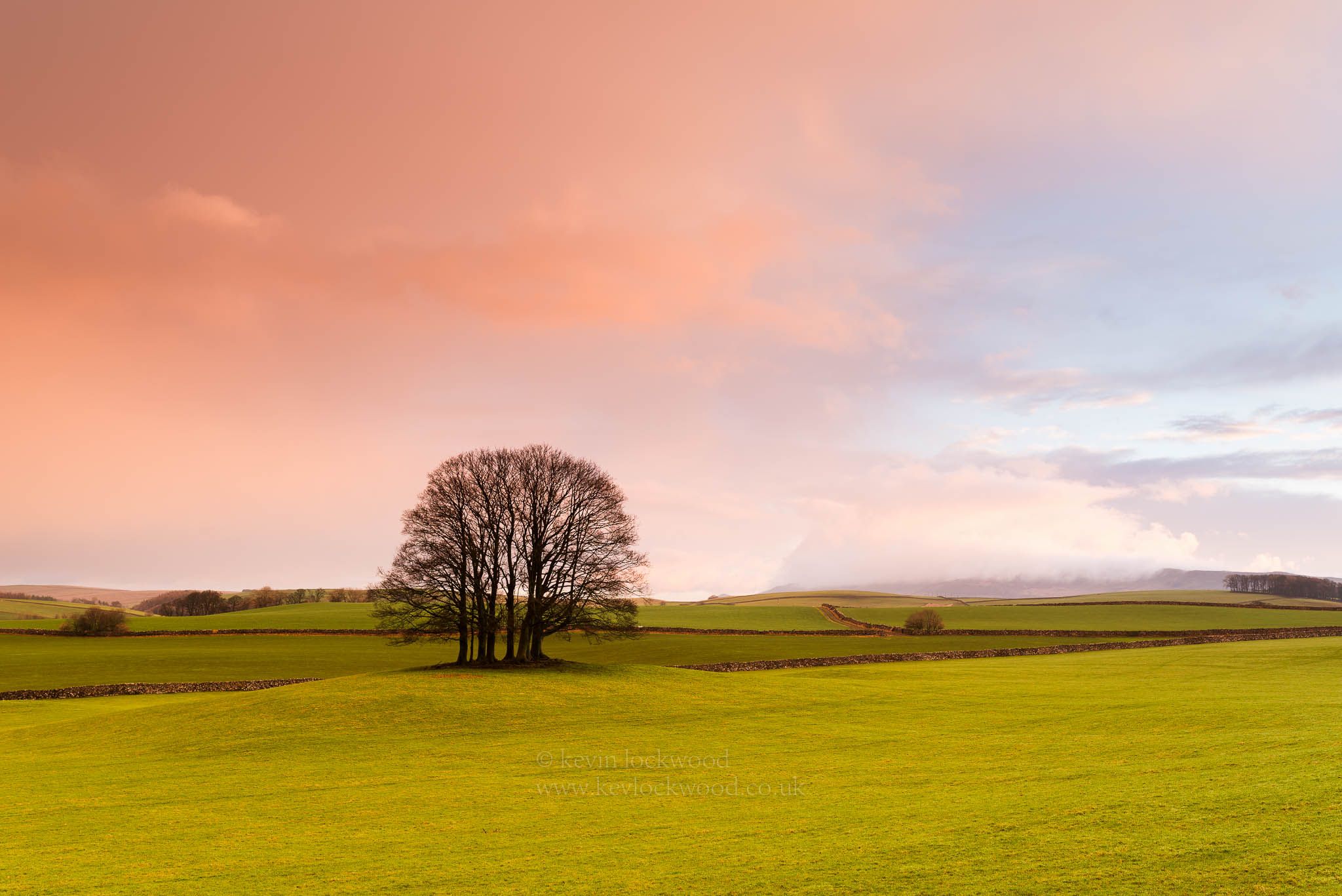 Eshton Coppice, United Kingdom