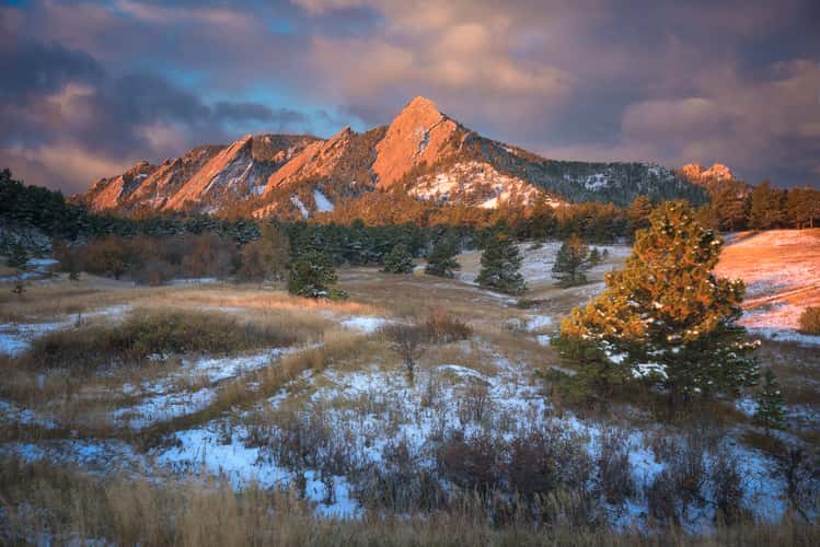 Flat Irons