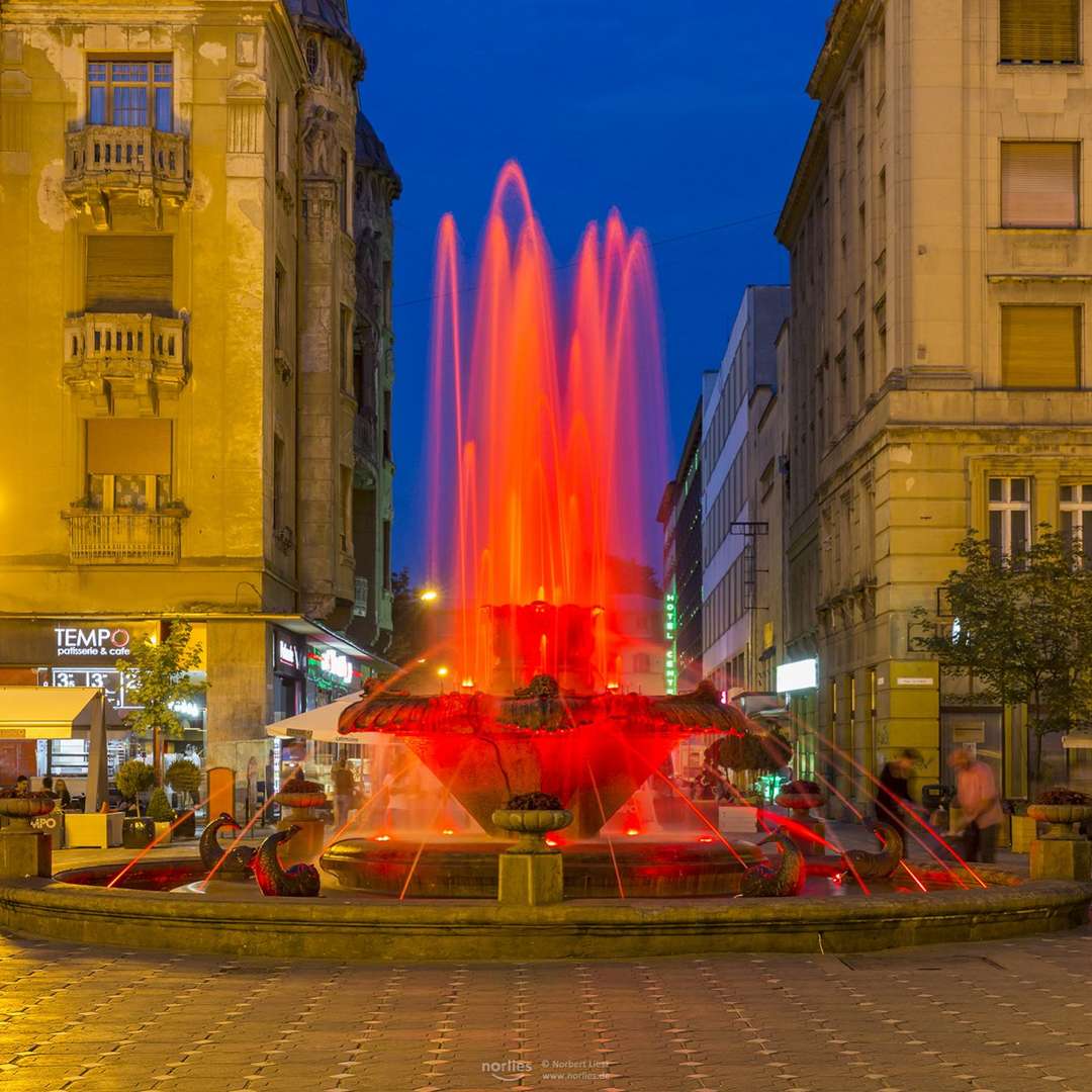 Fountain Rome Fish Fountain with Fish, Romania