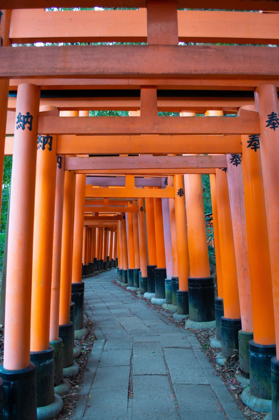 Fushimi Inari-Taisha, Kyoto, Japan