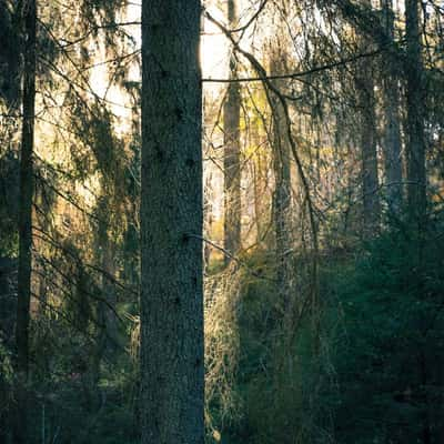 Getå ravine, Sweden