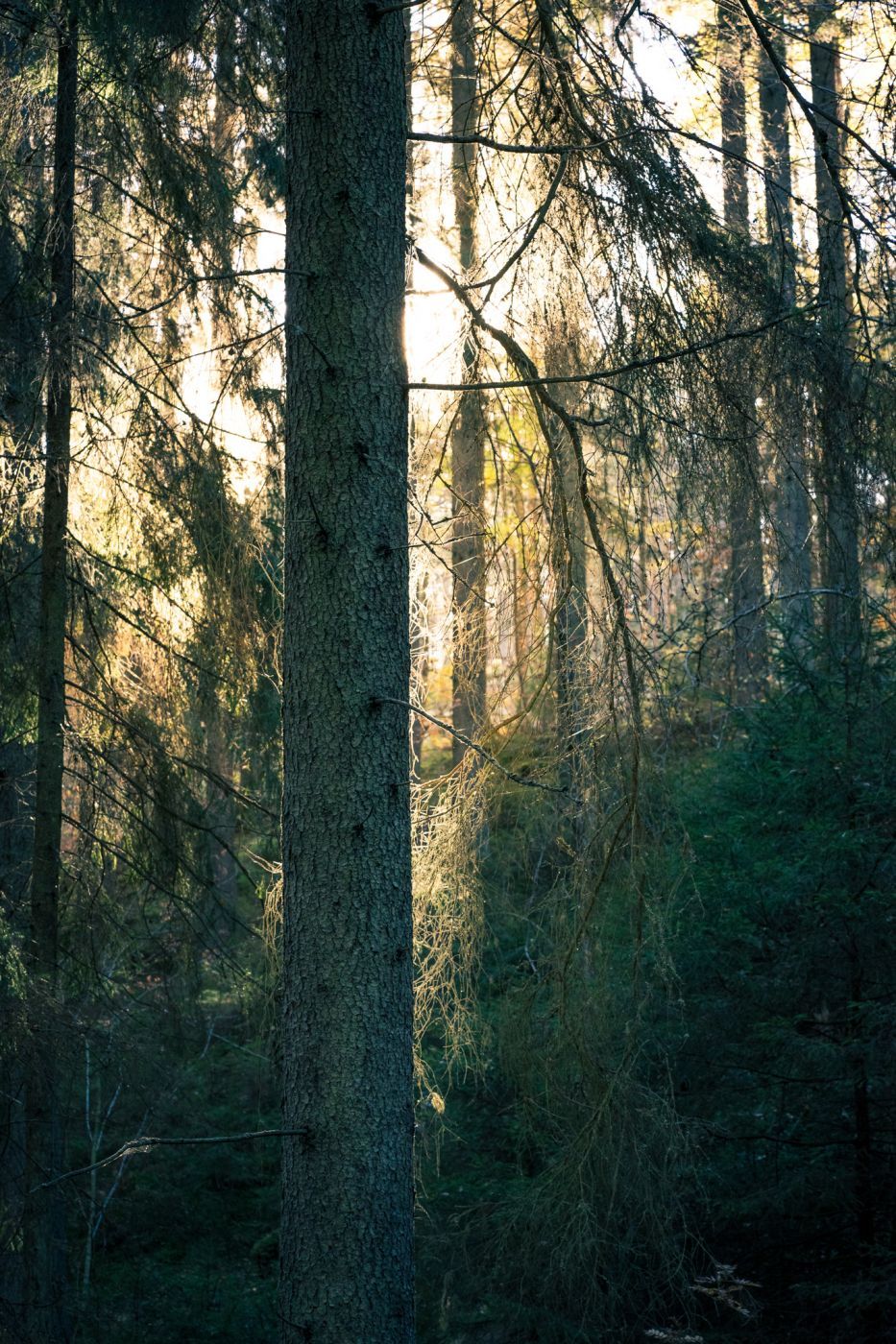 Getå ravine, Sweden