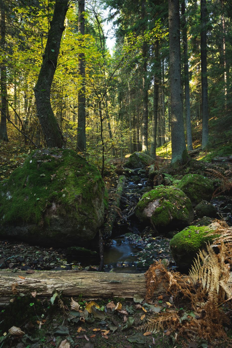 Getå ravine, Sweden