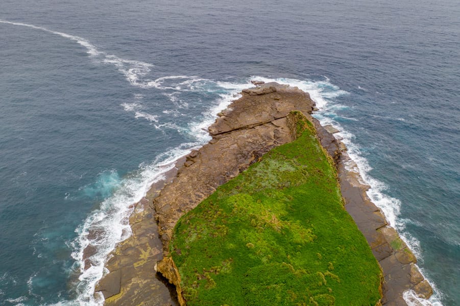 Grasshopper Island South Coast NSW, Australia