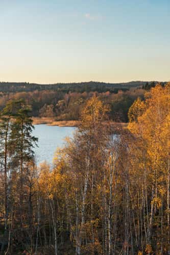 Grensholm