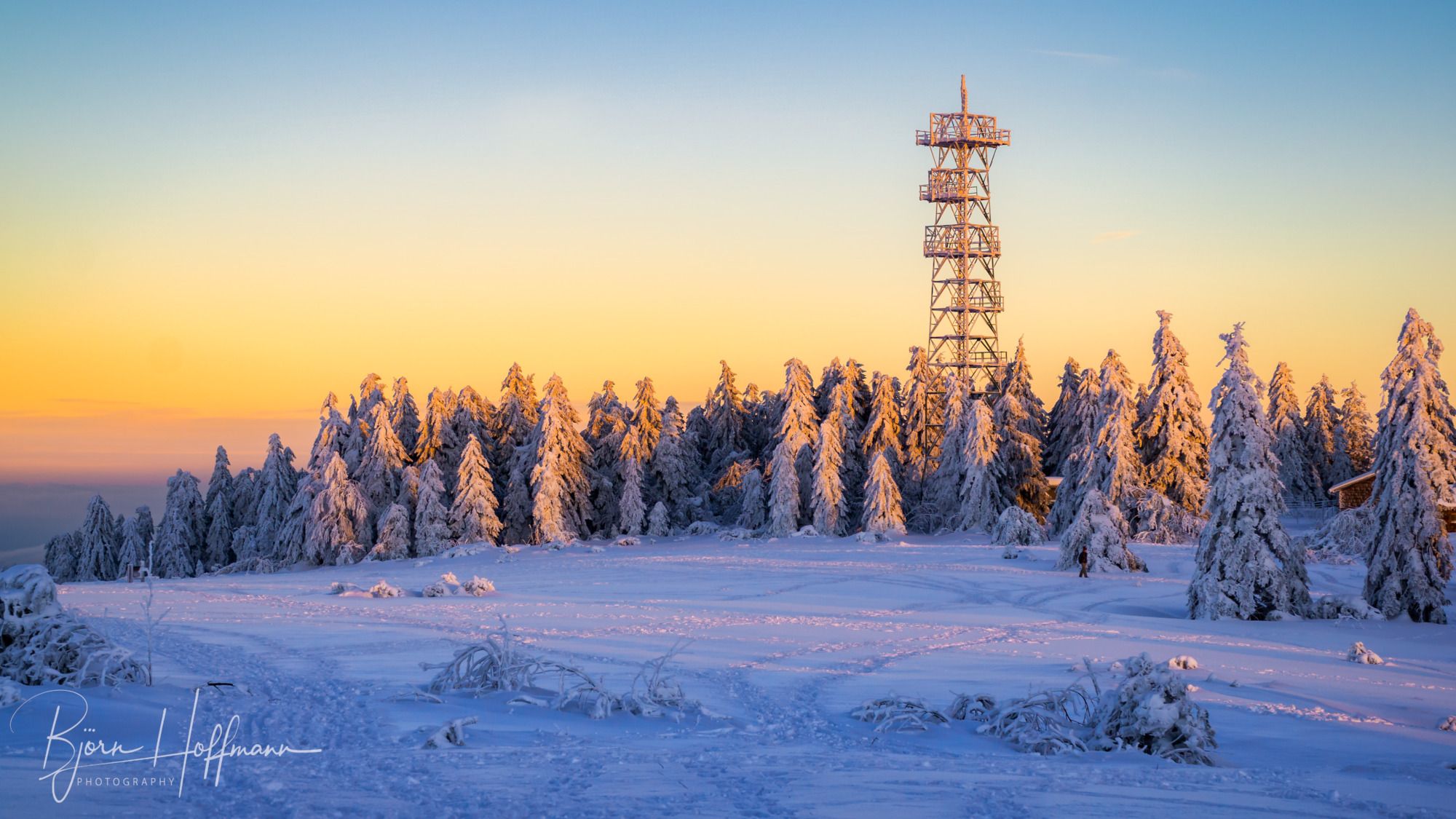 Hornisgrinde Black Forest, Germany